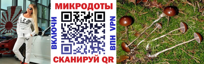Галлюциногенные грибы ЛСД купить наркоту Медногорск