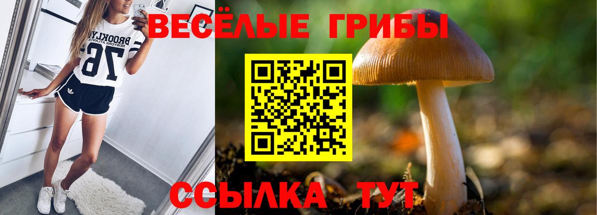 Медногорск  Галлюциногенные грибы Magic Shrooms  Галлюциногенные грибы прущие грибы  Вход с VPN 