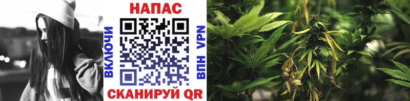 Каннабис SATIVA & INDICA KRAKEN ONION Медногорск